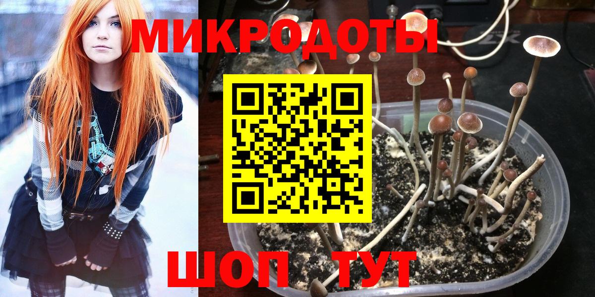 Псилоцибиновые грибы GOLDEN TEACHER  Псилоцибиновые грибы мицелий  купить  цена  Вход с VPN  Хабаровск 